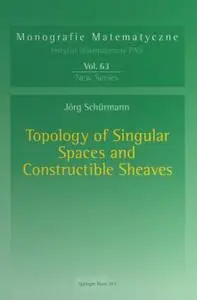 Topology of Singular Spaces and Constructible Sheaves (Repost)