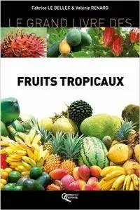 Fabrice Le Bellec - Le grand livre des Fruits Tropicaux