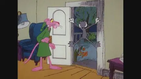 The Pink Panther Cartoon Collection: Volume 6 (1978-1980)