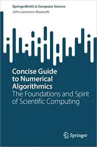 Concise Guide to Numerical Algorithmics