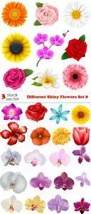 Vectors - Different Shiny Flowers Set 8