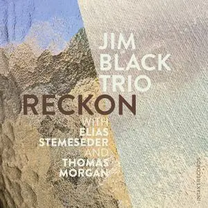 Jim Black Trio with Jim Black, Elias Stemeseder, Thomas Morgan - Reckon (2020) [Official Digital Download 24/88]