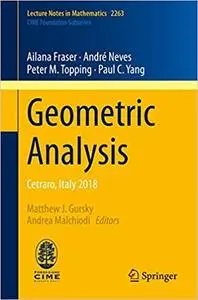Geometric Analysis: Cetraro, Italy 2018 (Lecture Notes in Mathematics