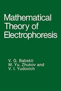 Mathematical Theory of Electrophoresis