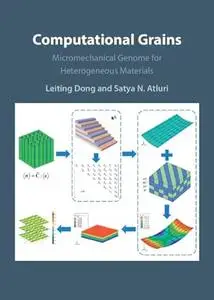 Computational Grains: Micromechanical Genome for Heterogeneous Materials