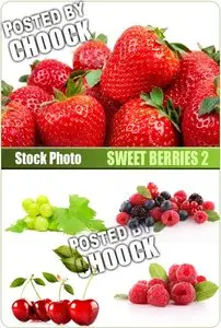 Sweet berries 2 - Stock Photo