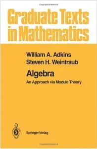 Algebra: An Approach via Module Theory