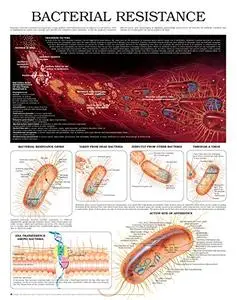 Bacterial resistance e chart: Full illustrated