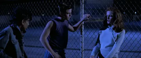 The Outsiders (1983)