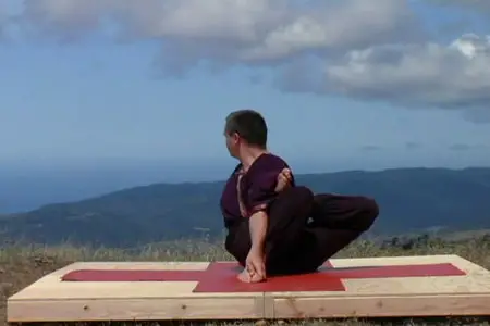 Pranamaya - Introduction to Universal Yoga with Andrey Lappa (2005)
