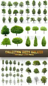 Stock Photo - Collection Trees Isolated