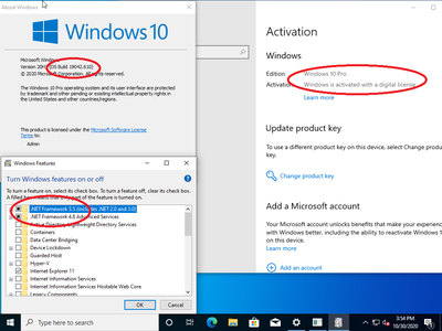Windows 10 Pro 20H2 10.0.19042.610