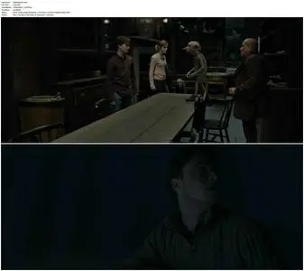 Harry Potter and the Deathly Hallows: Part 1 (2010) + Extras