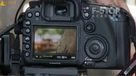 Learn 2 Shoot Great Video With Your Canon 7D