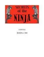 Secrets Of The Ninja - Ashida Kim