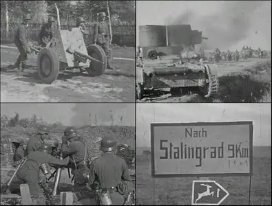 Mit der Kamera nach Stalingrad