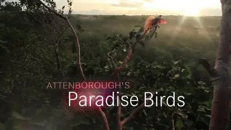 BBC - Attenborough's Paradise Birds (2015)