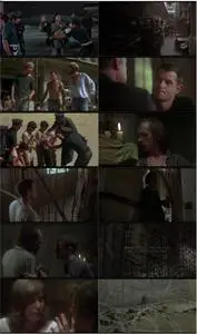 Midnight Express (1978) [w/Commentary]