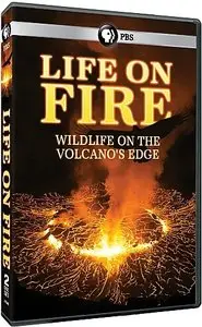 PBS: Life On Fire (2013)