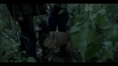 Project Blue Book S02E07