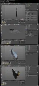 Cinema 4D Advanced Feather Systems