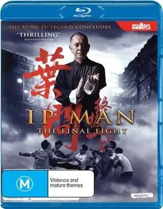 Ip Man: The Final Fight (2013)