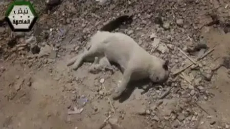 BBC - Syria: The World's War Series 1 (2018)