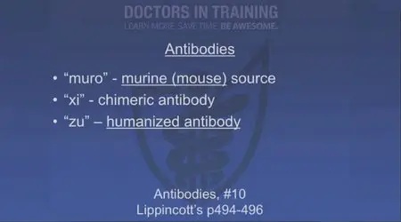 Doctors In Training - Solid Pharmacology