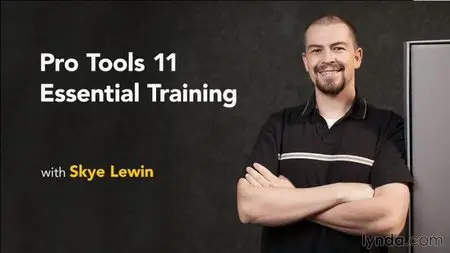 Pro Tools 11 Essential Training with Skye Lewin