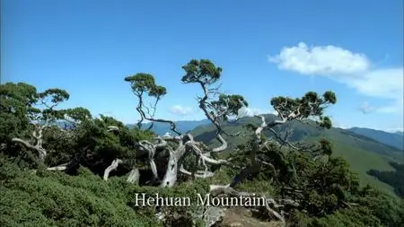 Codex Digital Media - Ilha Formosa: Taiwan - Where Mountains Meet the Sea (2008)