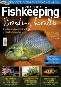 Practical Fishkeeping - November 2021