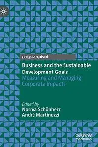 Business and the Sustainable Development Goals: Measuring and Managing Corporate Impacts (Repost)