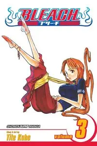 Bleach v03 (2004)