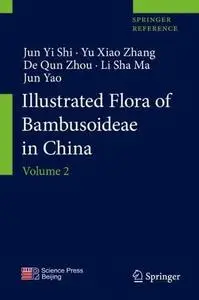 Illustrated Flora of Bambusoideae in China: Volume 2 (Repost)