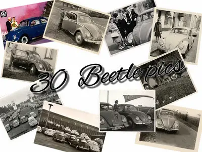 30 Beetle Pics