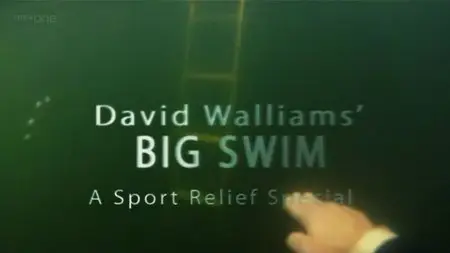 BBC - David Walliams' Big Swim (2012)