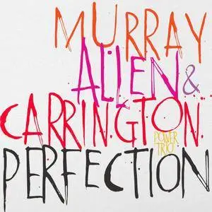 David Murray / Geri Allen / Terri Lyne Carrington - Perfection (2016) [Official Digital Download 24bit/88.2kHz]