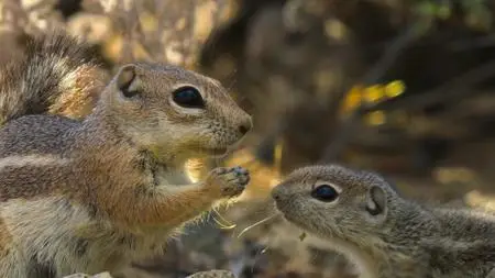 Tiny World S02E02