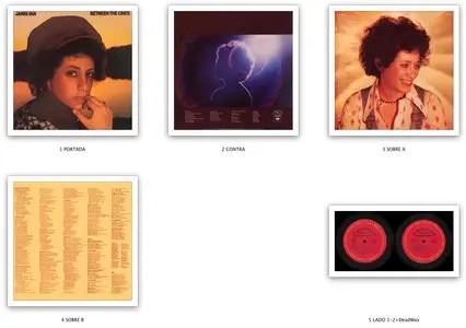 Janis Ian ‎- Between The Lines (1975) US 1st Pressing - LP/FLAC In 24bit/96kHz - NEW 2020 RIP!