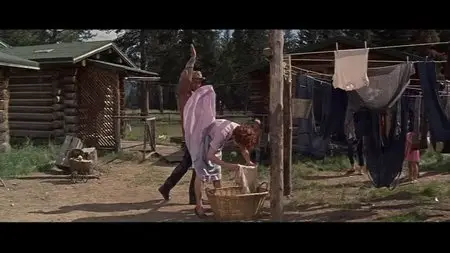 Spencer's Mountain (1963)