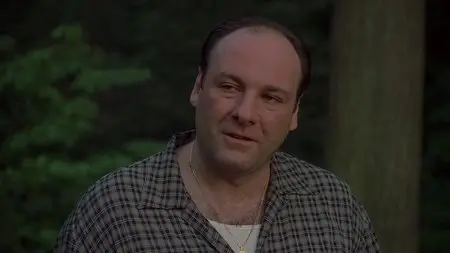 The Sopranos Season 2 (2000)