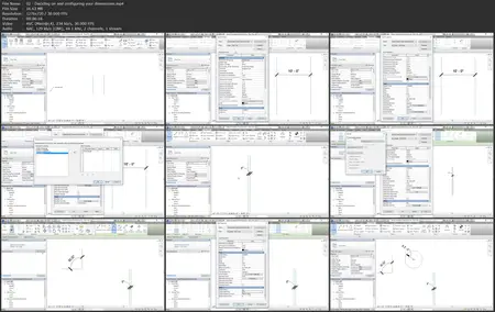 BIM Manager: Managing Revit [Released: 7/21/2025]