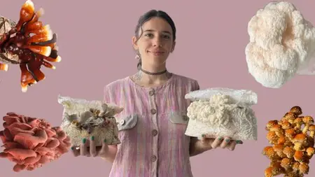Learn To Grow Medicinal & Gourmet Mushrooms At Home!