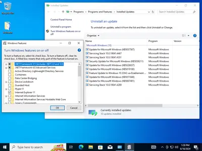 Windows 10 Pro 22H2 build 19045.4529 With Office 2021 Pro Plus (x64) Multilingual Preactivated June 2024