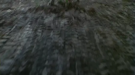 King Cobra (1999)