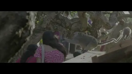 Underdogs S01E04