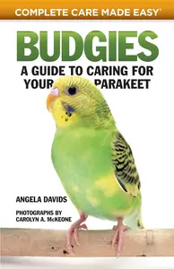 Budgies: A Guide to Caring for Your Parakeet