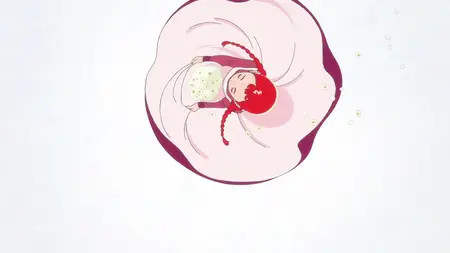 Anne Shirley S01E08