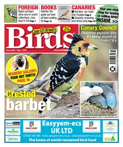 Cage & Aviary Birds - 7 May 2025