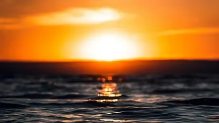 Awaken: Certified Mindfulness And Meditation Intro. Course